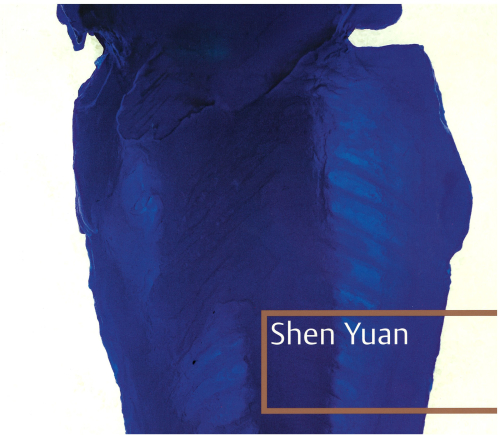 Shen Yuan
