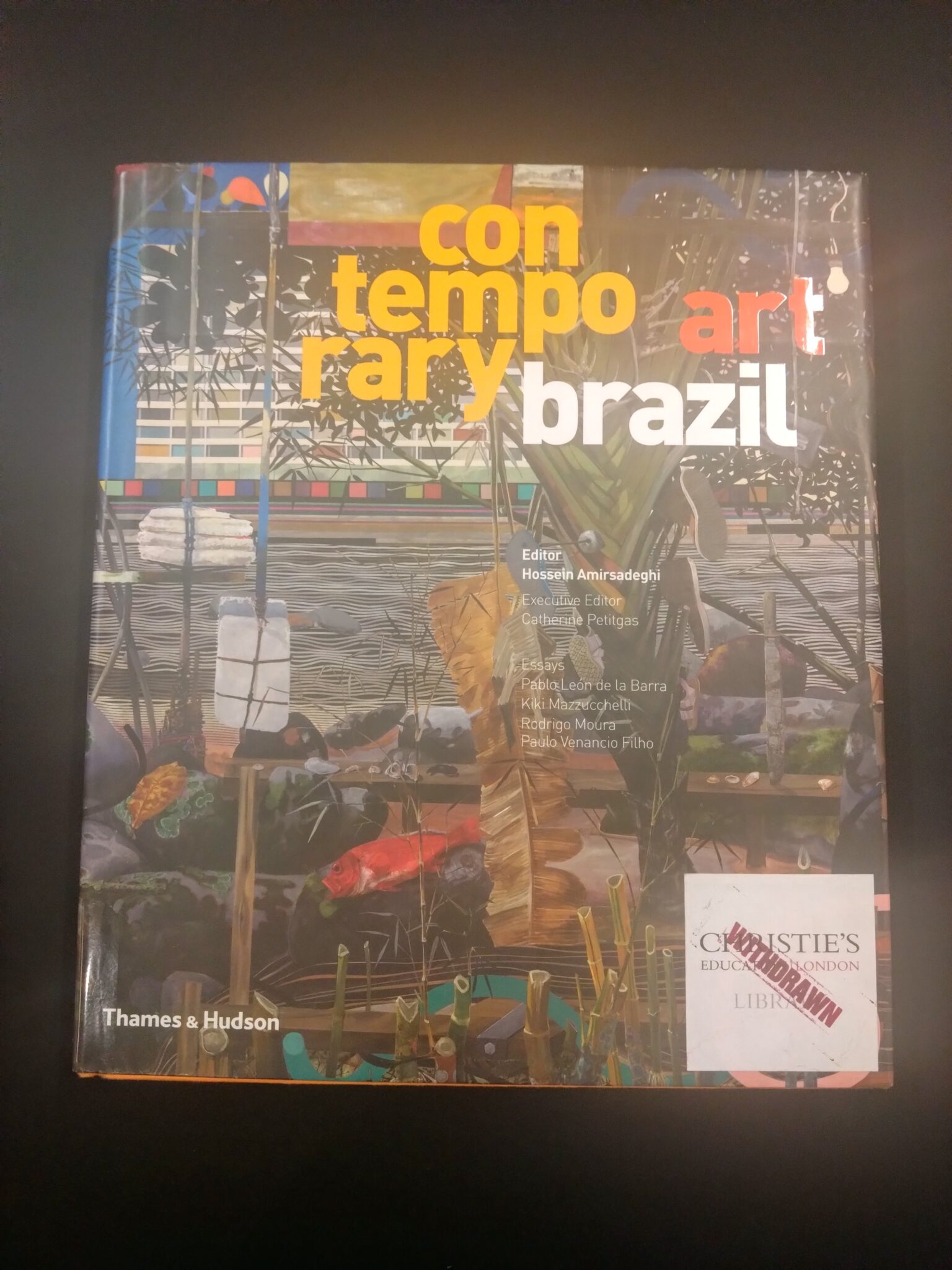 Contemporary Art Brazil (Hardcover) 1 DSC 0776
